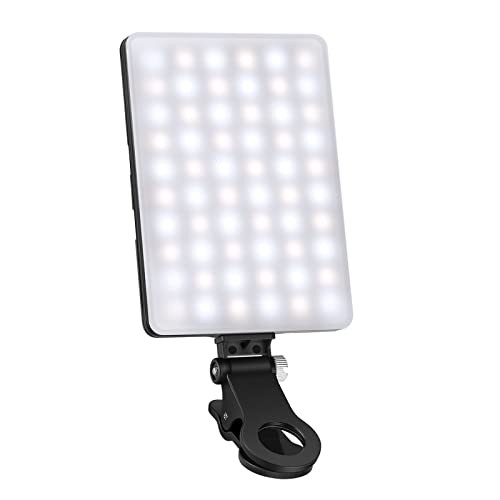 Neewer LED Video Conference Light Kit with Clip & Phone Holder for iPhone/Tablet/Laptop, Dimmable CR | Amazon (US)
