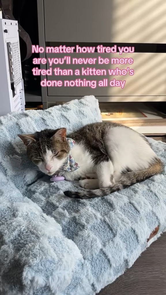 She'll always be more exhausted than you 

 #LTKdayinmylife #LTKmorningroutine #LTKselfcare