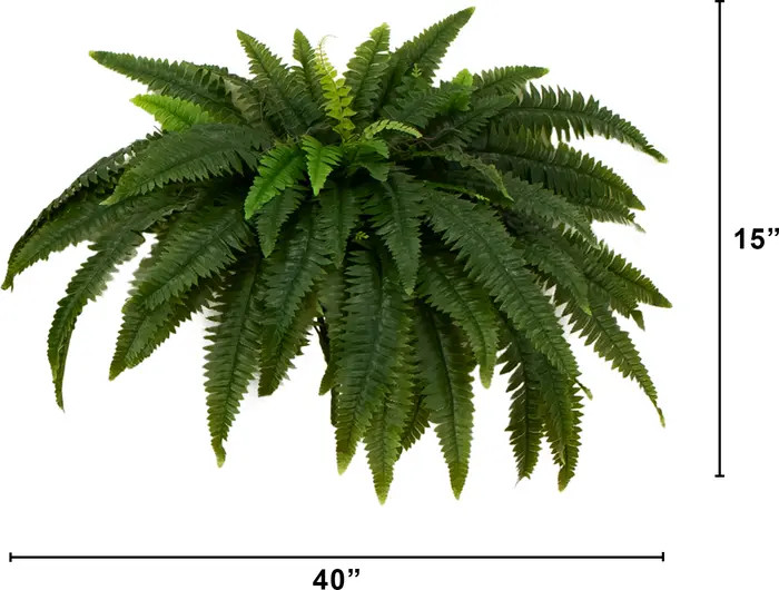40-in UV Resistant Artificial Boston Fern (Indoor/Outdoor) - Set of 2 | Nordstrom