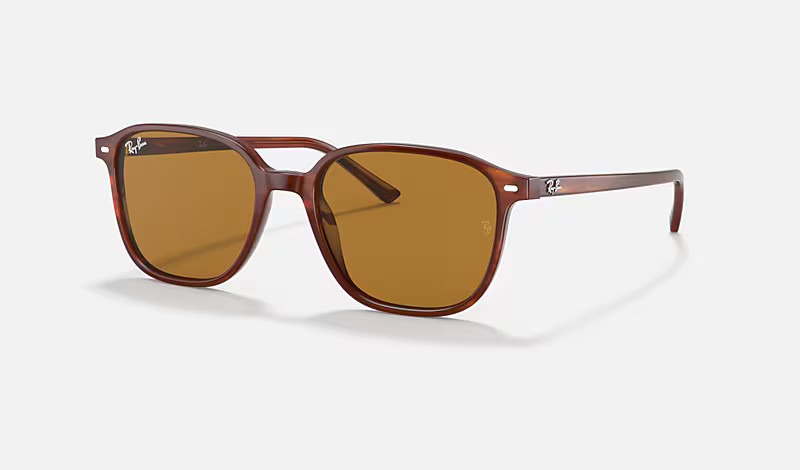 LEONARD | Ray-Ban (US)