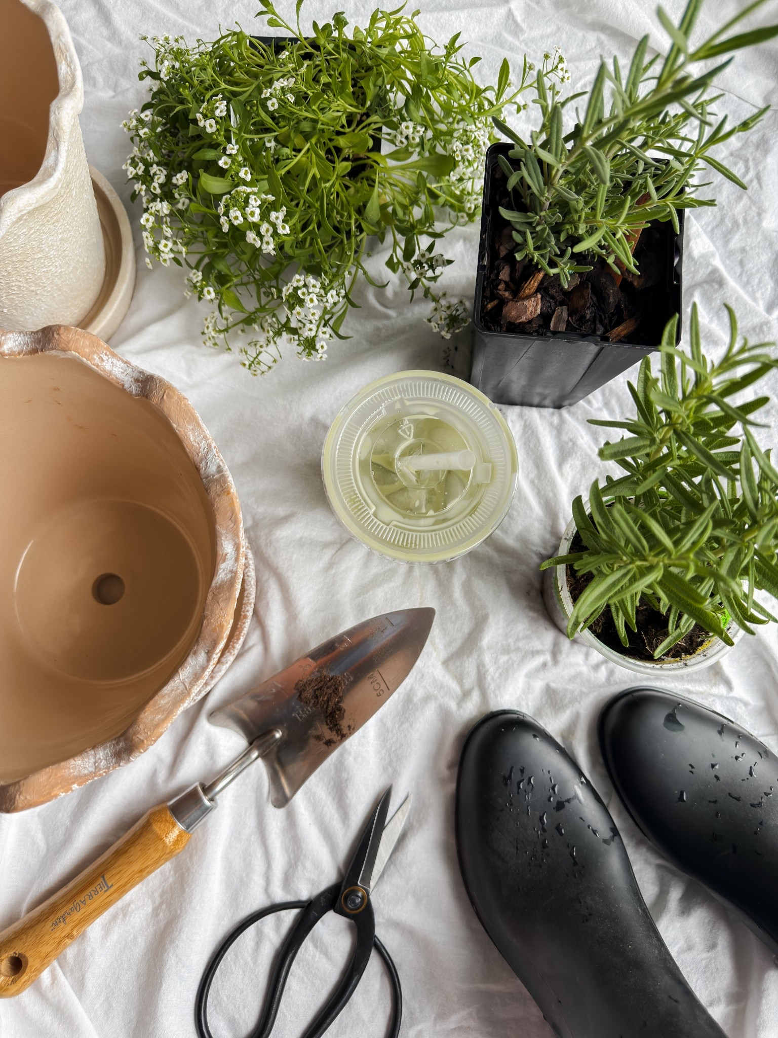 In my grandma Hobby era

•gardening •plants •matcha •garden •flower beds •herbs 

#LTKSeasonal #LTKHome #LTKMothersDay