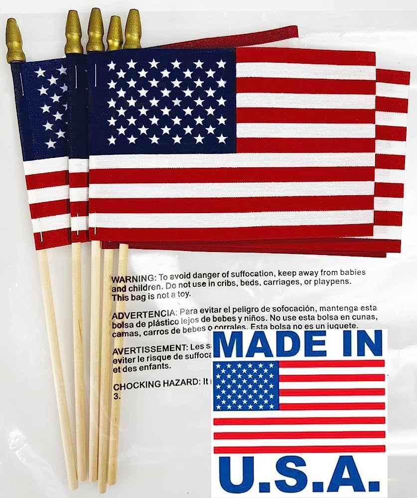 GIFTEXPRESS Set of 12, Proudly Made in U.S.A. Small American Flags 4x6 Inch/Small US Flag/Mini Am... | Amazon (US)