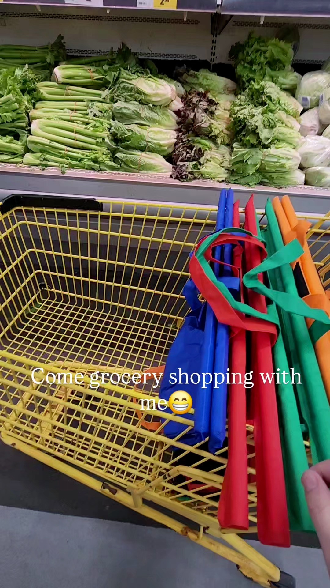 The best grocery Bags you will ever purchase!

#grocerybags #tanyasamazingfinds #sopracital #Amazoncanada 

 #LTKcanada #LTKsale #LTKbag