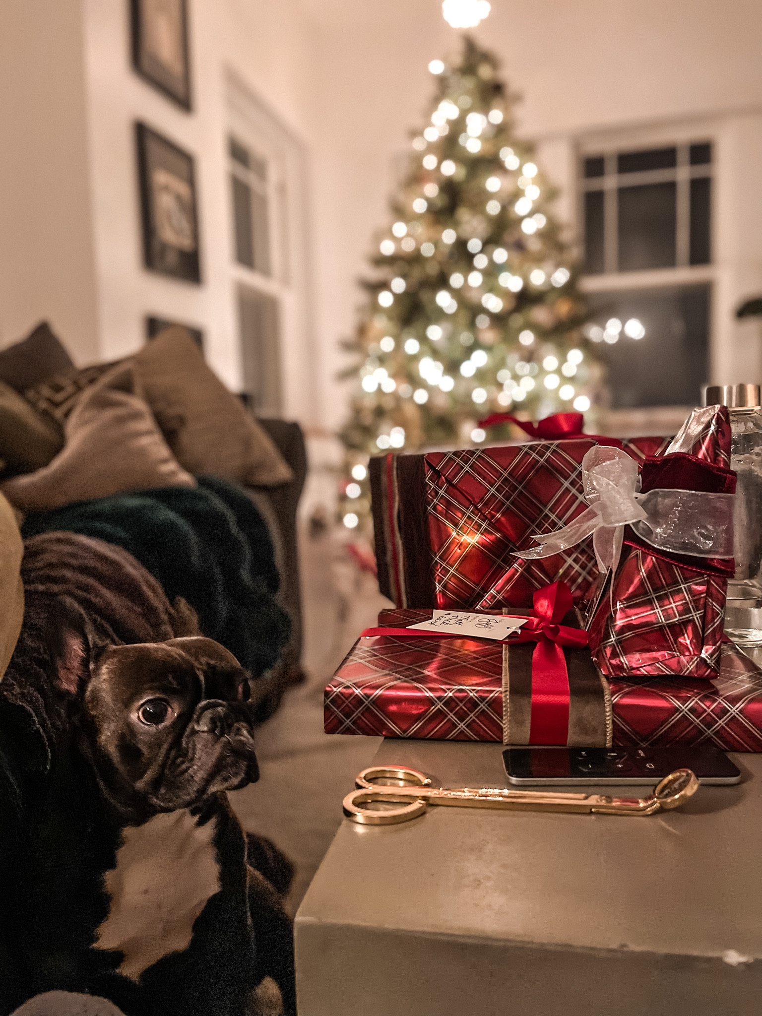 Modern wrapping paper
- jumbo double sided tartan plaid gift wrap
- matte Xmas wrapping paper 
- self adhesive velvet gift wrap
- velvet, wire ribbons and bows
- Christmas dog wrapping paper ( corgis, westies, golden retriever, boxer,  dachshund ..)
- Christmas tree star
#ltkdogmom #ltkunder100 #ltkunder50

#LTKHoliday #LTKsalealert #LTKSeasonal