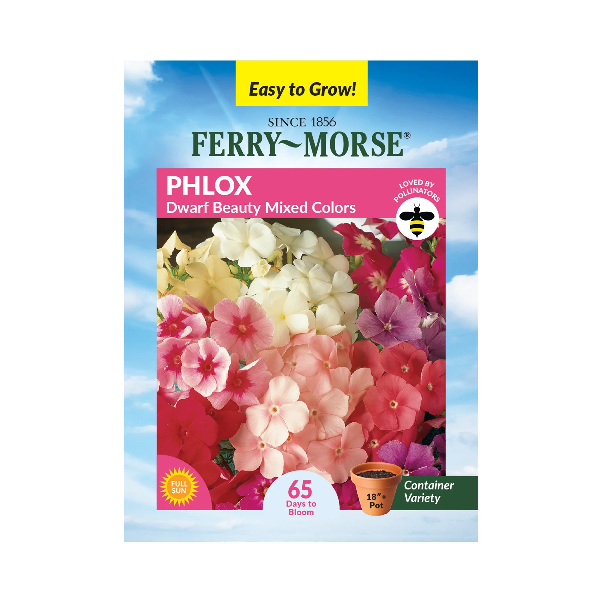 Ferry-Morse 180MG Phlox Dwarf Beauty Mixed Colors Annual Flower Seeds Full Sun | Walmart (US)
