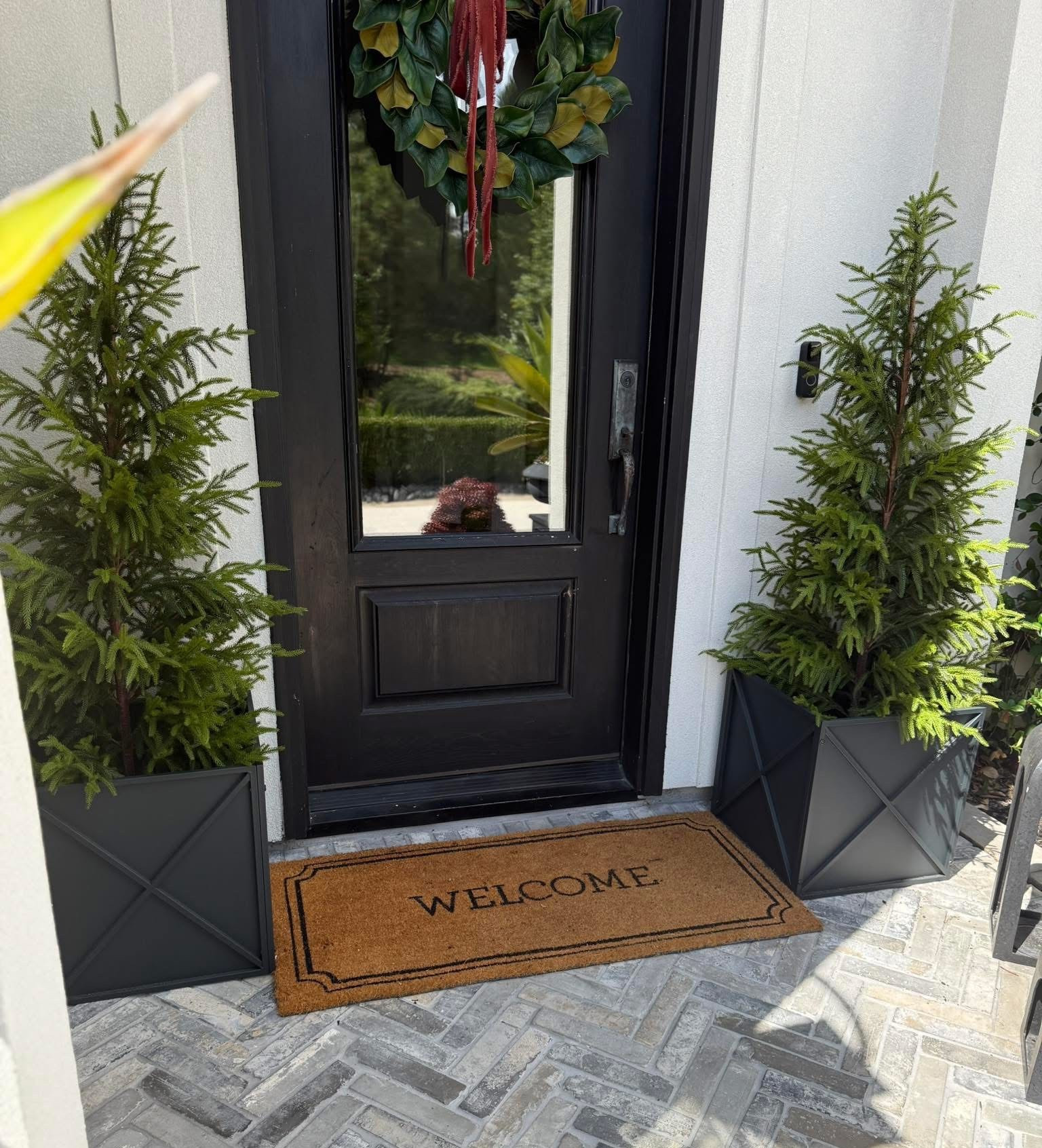 These Norfolk trees are a must have for the upcoming holidays! 

#LTKFindsUnder100 #LTKHoliday #LTKHome