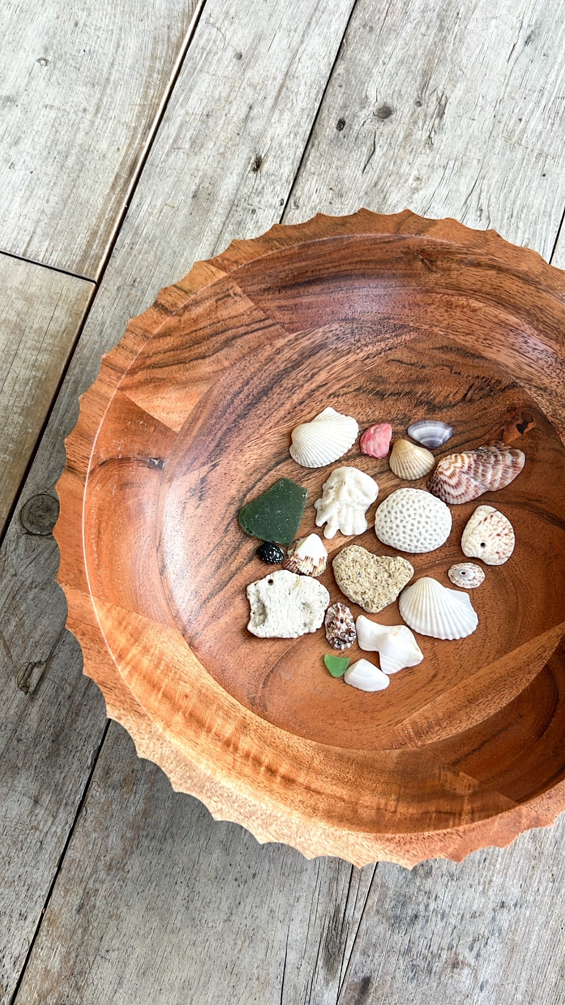 Wooden Bowl: acacia wood, fluted
Seashells: collected on the beaches of Antigua 

#LTKHome