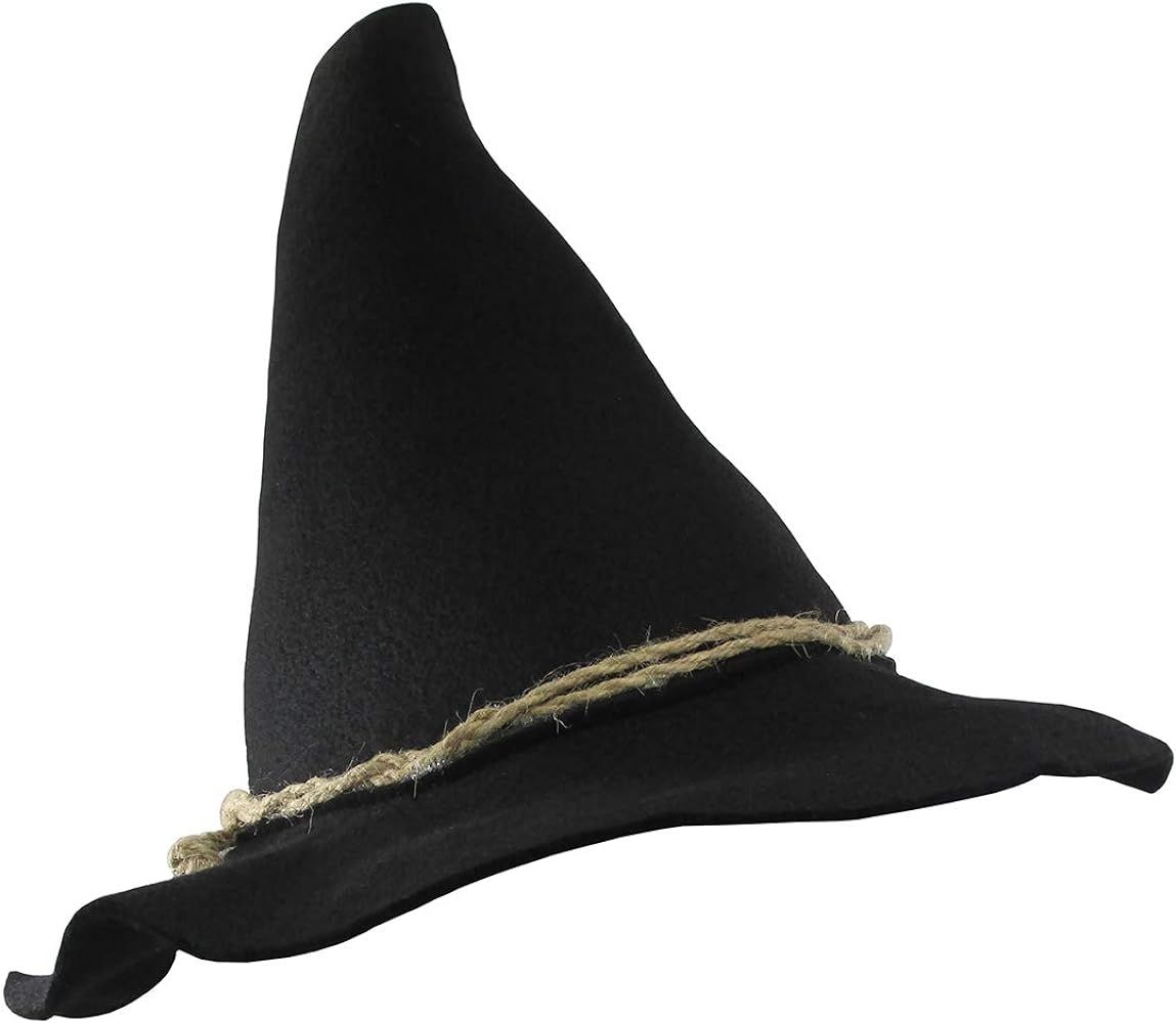 Costume Accessory - Felt Scarecrow Hat w/Rope Band | Amazon (US)