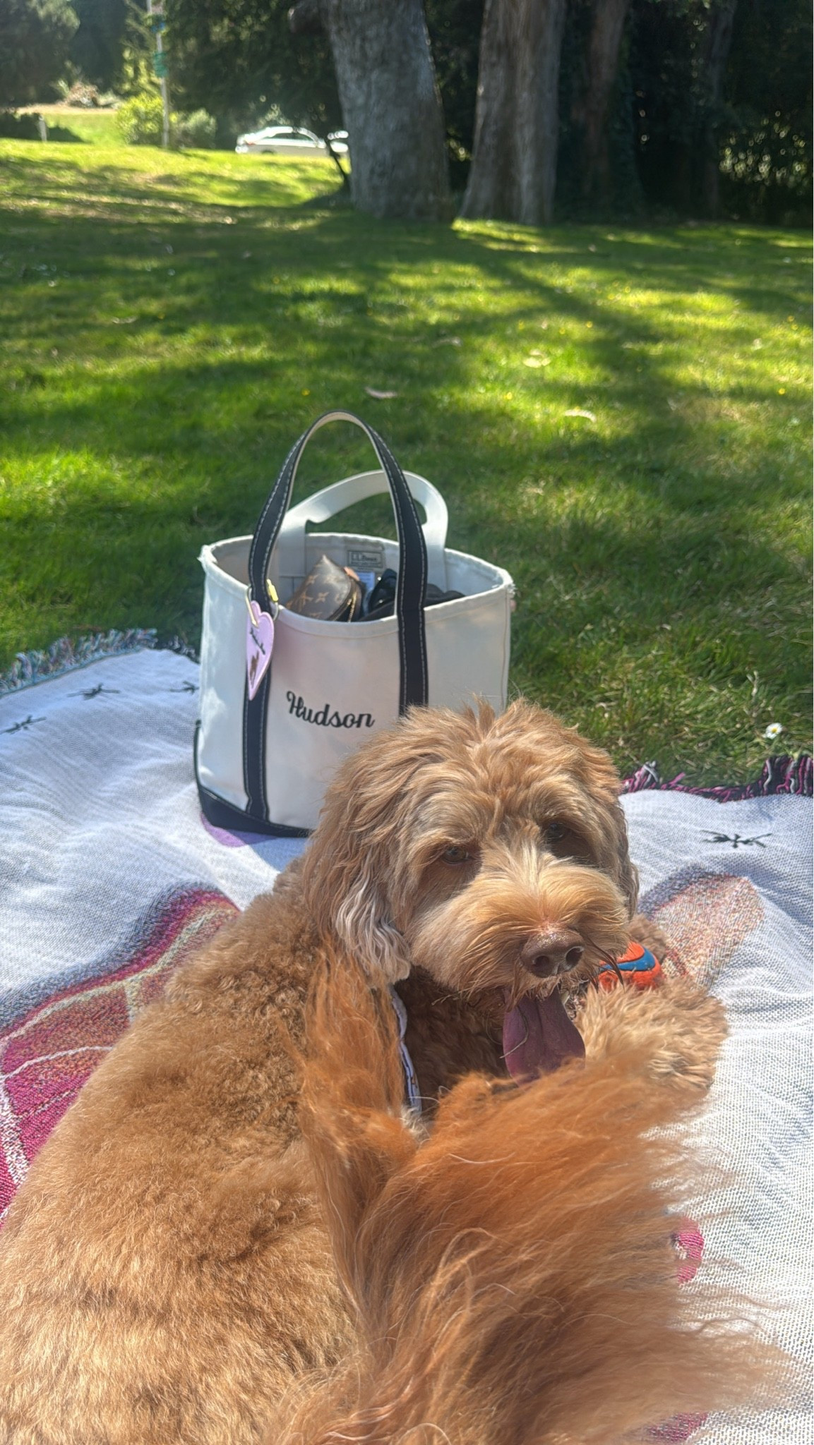 Picnic in the park!!