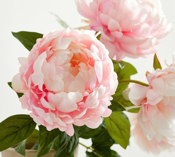 Faux Long Stem Peony Bundle | Pottery Barn (US)