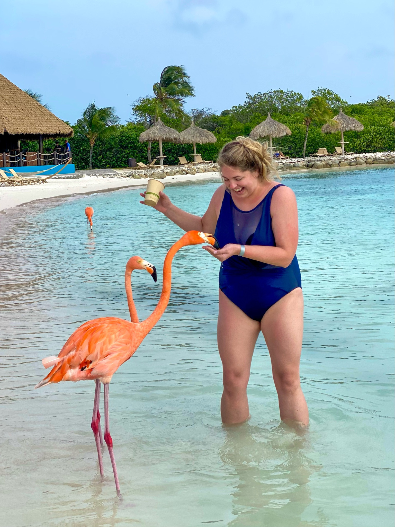 Vacation ready! Shop these Miracle Swimsuits just in time for Spring Break! 

#LTKSeasonal #LTKswim #LTKplussize