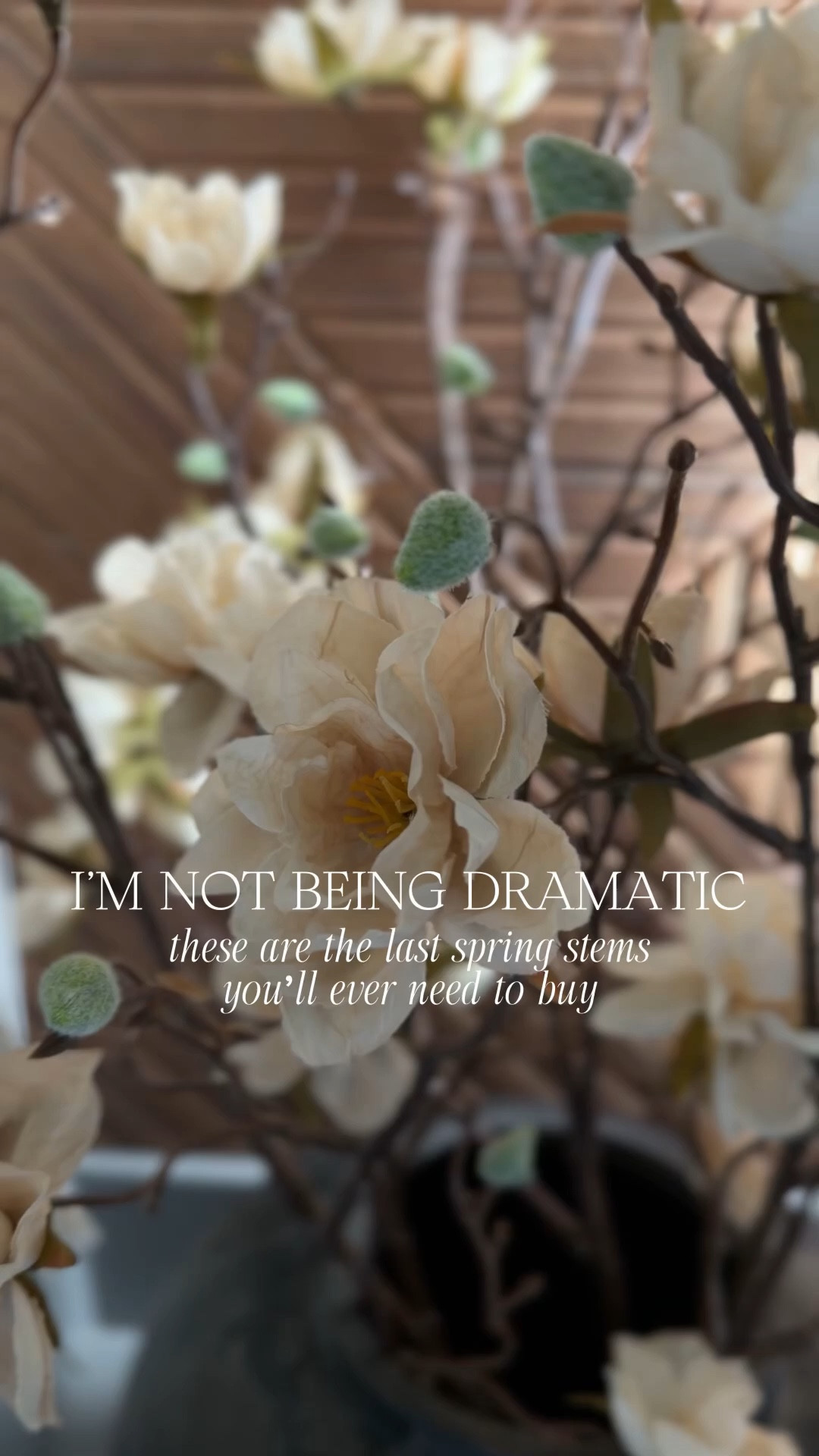 The 10 second spring refresh all our homes are craving for spring! 🌼 Soft, organic spring styling made easy!🌿🤍🥰

These neutral faux stems from Amazon are the easiest way to bring that fresh, elevated spring feel into your home. I love how they add warmth and texture while keeping that calm, modern organic look.

Such a simple swap that makes your space feel styled and intentional for the season ✨

#amazonhomedecor #springdecor #easyhomedecor 


#LTKSpringSale #LTKSeasonal #LTKHome