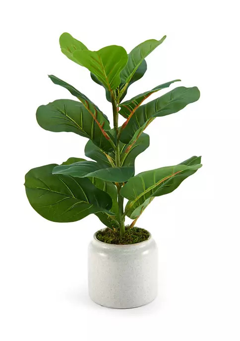 20 Inch Potted Fiddlehead Faux Plant | Belk