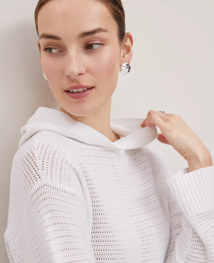 Weekend Collection Textured Hoodie Sweater | Ann Taylor