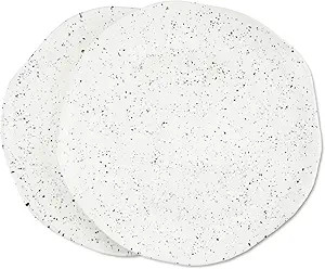 roro Handmade Glossy White Speckled Ceramic Dinner Plates Set - 2 , Microwave & Oven Safe, Durabl... | Amazon (US)