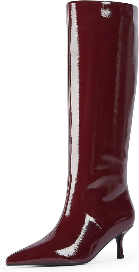 Modatope Knee High Boots Women Kitten Heels Tall Boots Pointed Toe Long Boot for Women | Amazon (US)
