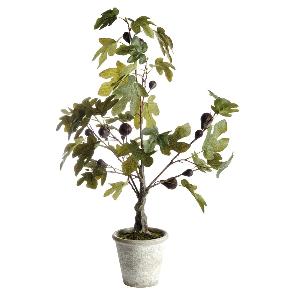 Sylvia French Country Green Leaf Potted Fig Tree | Kathy Kuo Home