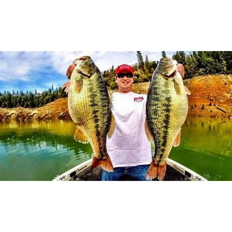 Strike King Lil' Mr Money 3/16oz Spinnerbait Lure Fire Tiger | Walmart (US)