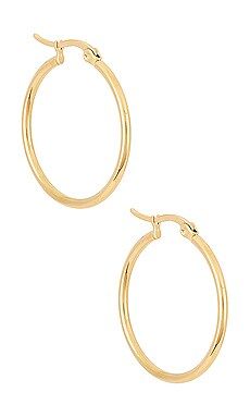 Ellie Vail Laurette Medium Hoop Earrings in Gold from Revolve.com | Revolve Clothing (Global)