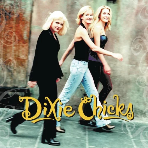 The Chicks - Wide Open Spaces - Vinyl | Walmart (US)