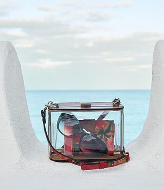 Anselma Clear Frame Bag | Dillard's