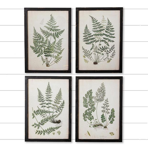Green Haven Fern Framed Prints Set of 4 | Antique Farm House