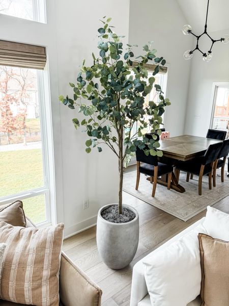 This is a spluuuuuurge and I had to save for awhile to get it, but now my faux Pottery Barn tree is on sale! Mine is 7' and I got it in the plastic pot only so I could use my own planter that I found cheaper on Amazon!

home decor, home favorites, home decor ideas, simple home decor, pottery barn finds, pottery barn favorites, faux tree decor, amazon planter, amazon home

#LTKhome #LTKsalealert