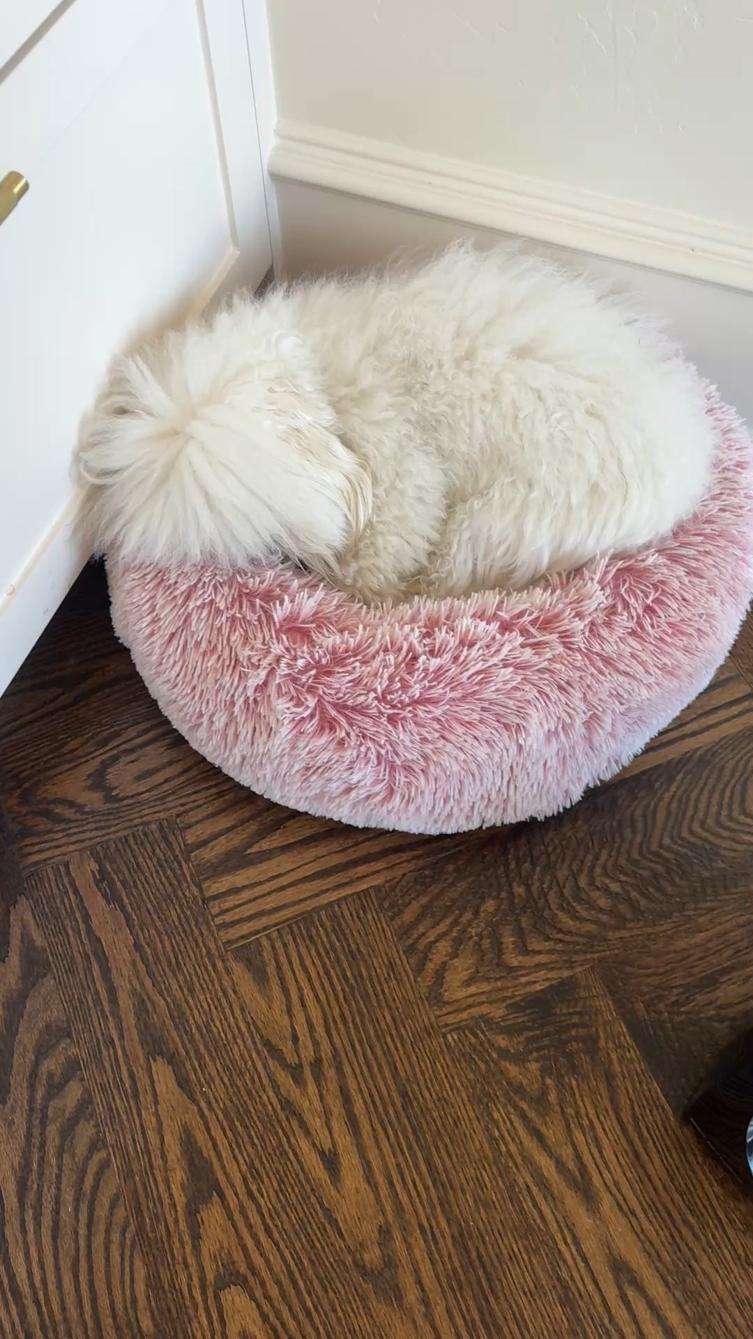 My favorite little heater that I have in multiple areas of my house ❤️

#LTKHome