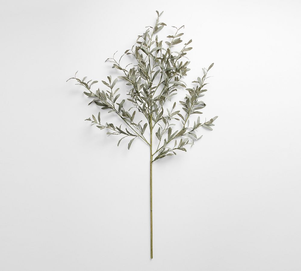 Faux Fading Olive Branch, 48", Green | Pottery Barn (US)