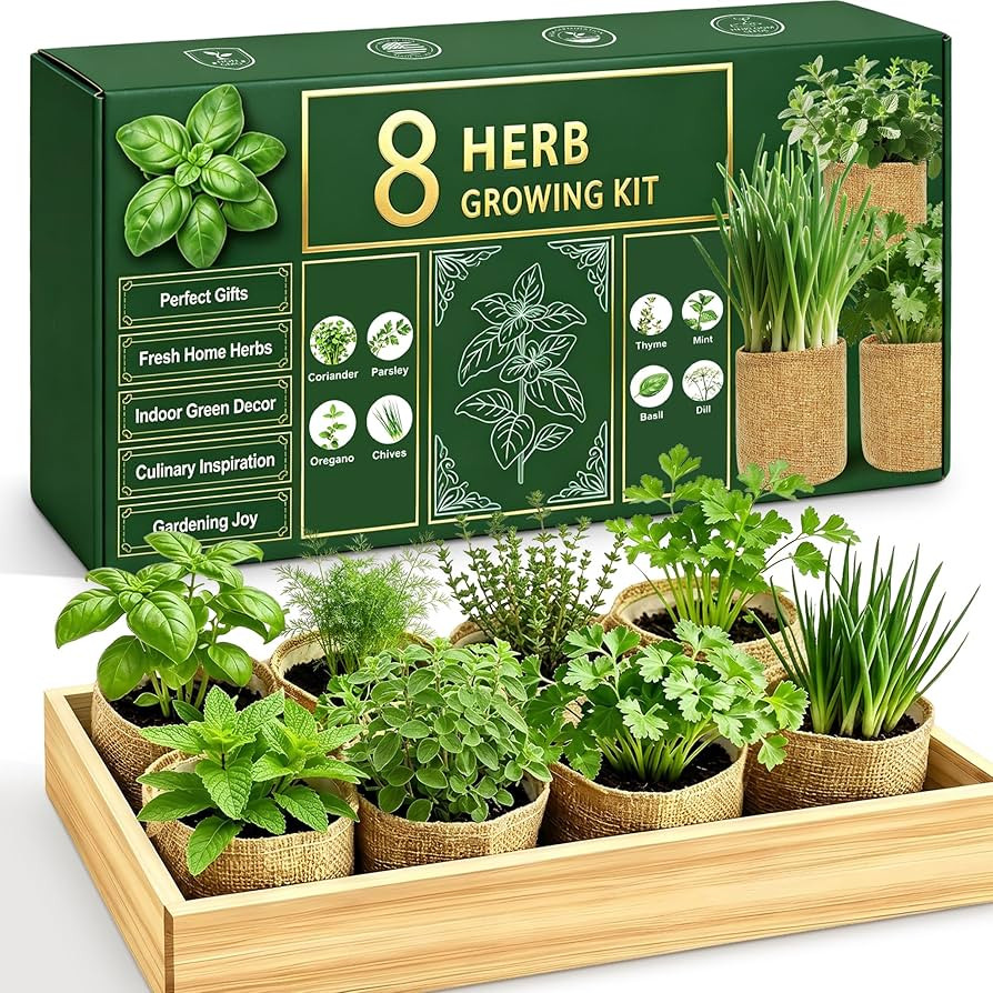 Indoor Herb Garden Kit, Culinary Herb Starter Kit with Seeds & Tools for Beginners, Ultimate Birt... | Amazon (US)
