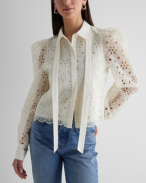 Eyelet Lace Tie Neck Puff Sleeve Top | Express