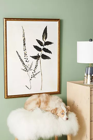 Upright Fern Wall Art | Anthropologie (US)