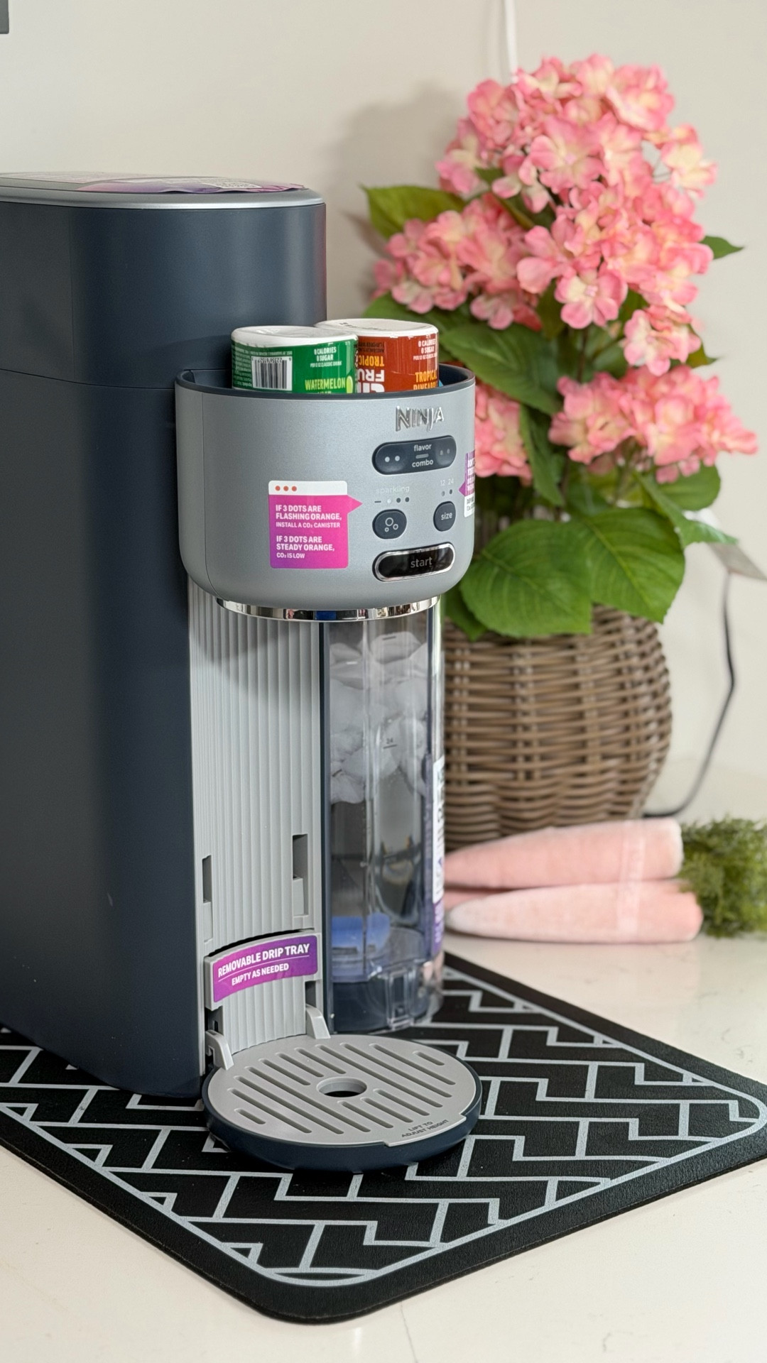 Upping my daily beverage routine with the Ninja Thirsti!
#watertok #drinkideas #hydration #beverages #refreshments

#LTKfoodie #LTKSaleAlert #LTKHome