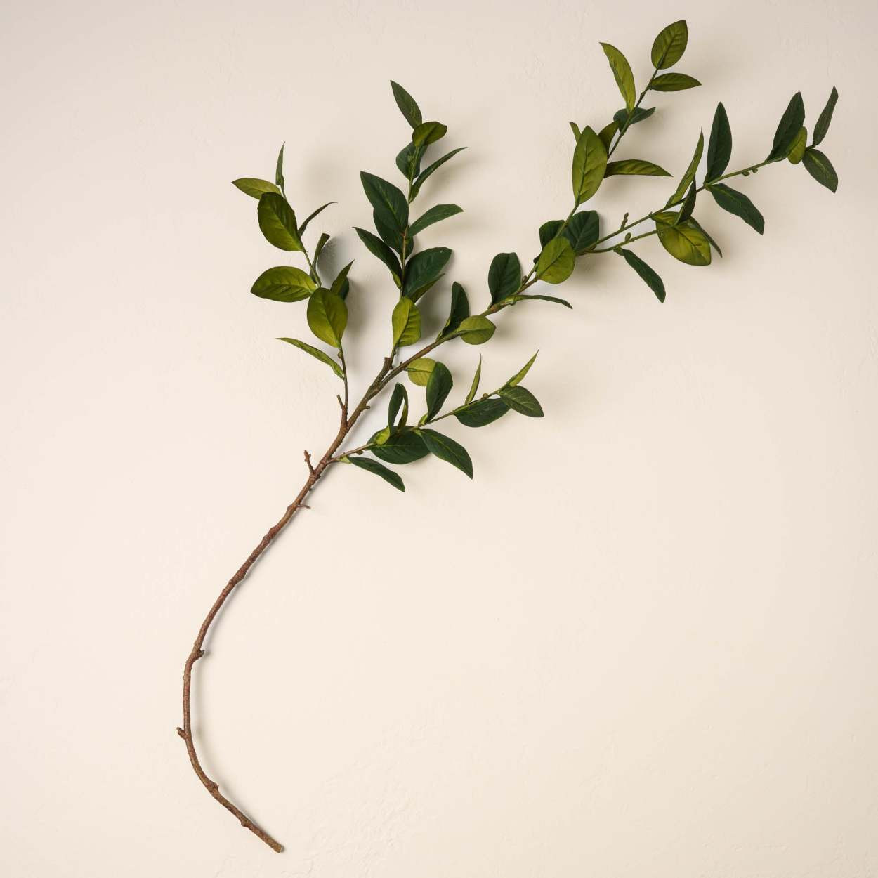 Large Leaf Spray | Magnolia