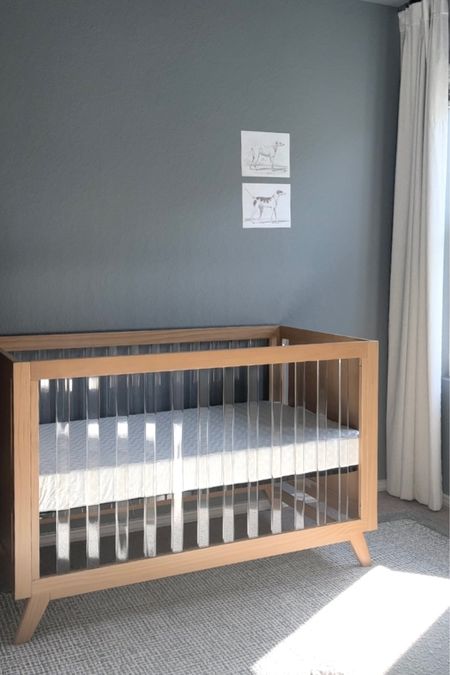 Baby boy’s muted blue nursery with animal wall art and a wood and acrylic crib. 