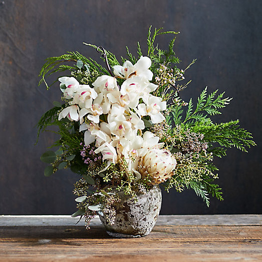 Fresh Cymbidium + Protea Bouquet | Terrain