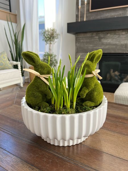 Cutest Easter decor that looks elegant and natural! Inspired by my friend Kelly @thetatteredpew I used live daffodils in this white outdoor planter. I added these adorable green moss bunnies and they look like they’re hiding in the grass. Can’t wait for the daffodils to bloom! 

Easter craft decor

#LTKhome