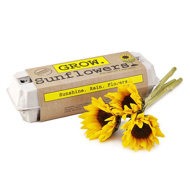 Sunflower Garden Grow Kit | UncommonGoods