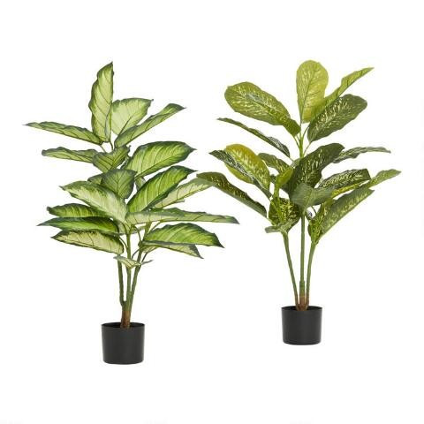 Faux Dieffenbachia Plants Set of 2 | World Market