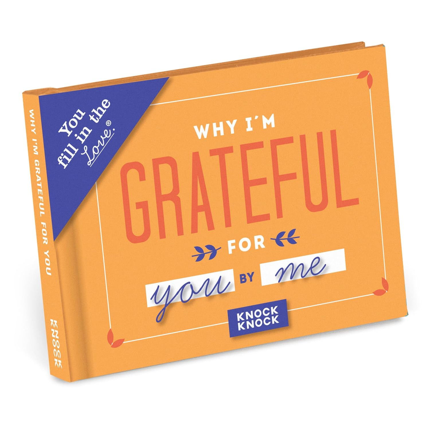 Why I’m Grateful for You Fill in the Love Book      Diary – June 1, 2017 | Amazon (US)