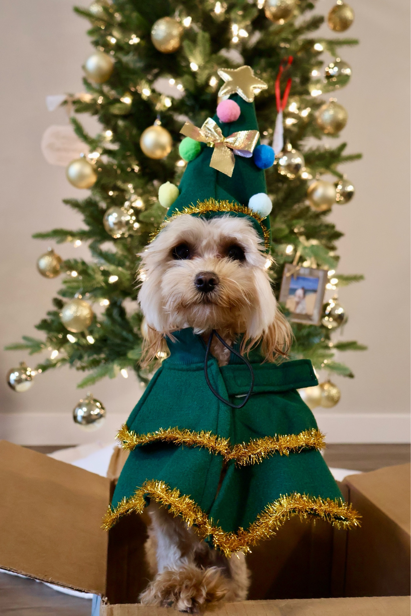 wearing a size small 🎄

#LTKGiftGuide #LTKFindsUnder50 #LTKHoliday