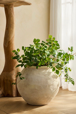 Rounded Jar Terracotta Planter | Anthropologie (US)