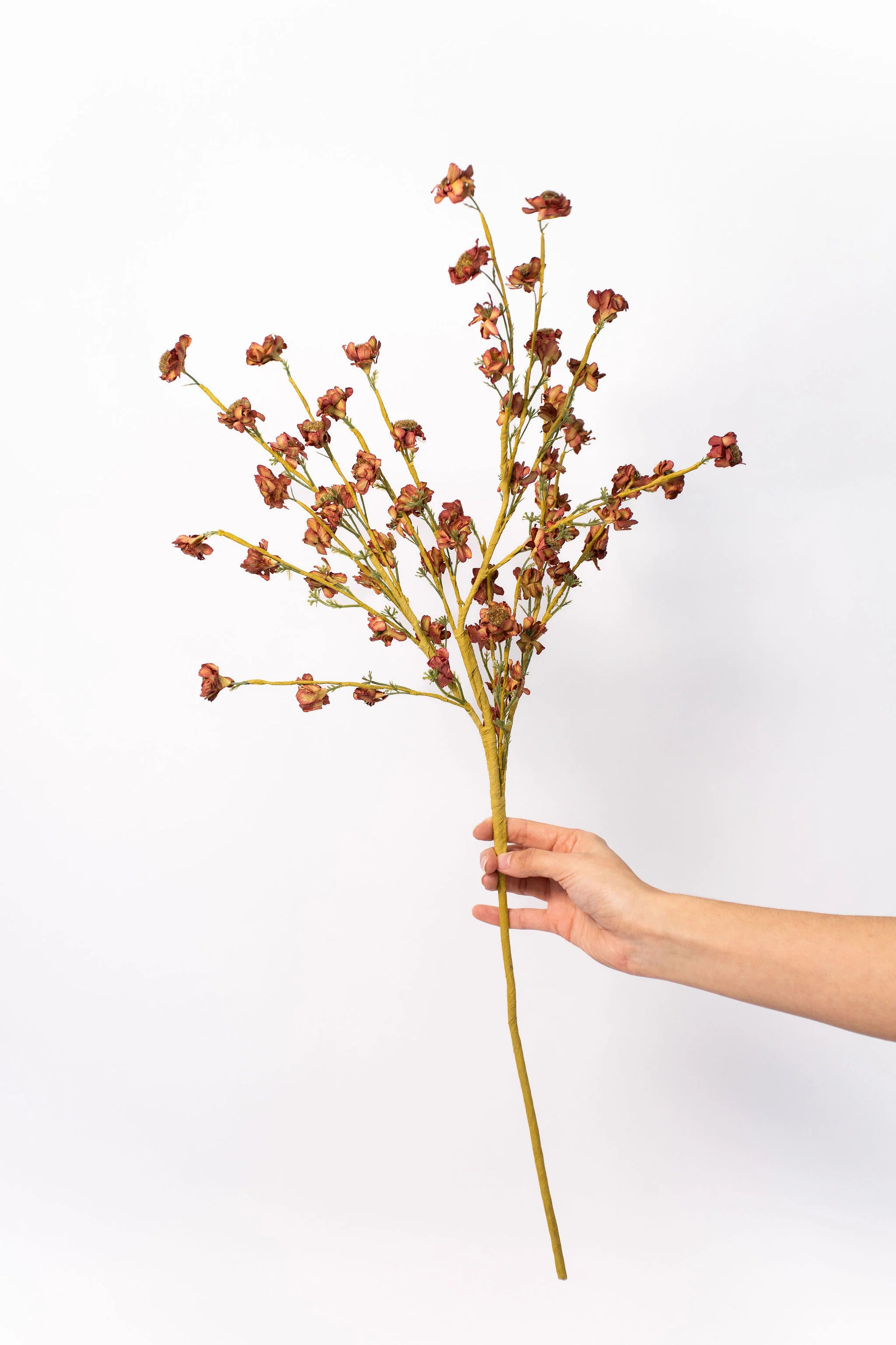 Daisy Spray - 30" | THELIFESTYLEDCO