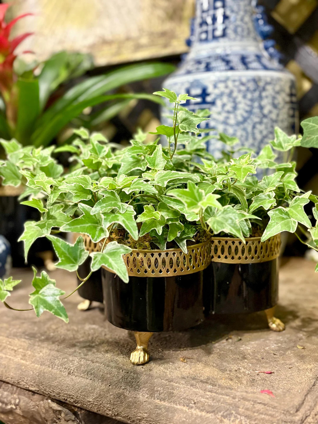 Hand-Painted Tole Quatrefoil Planter: Elegant Gold Banded Metal Centerpiece | Etsy (US)