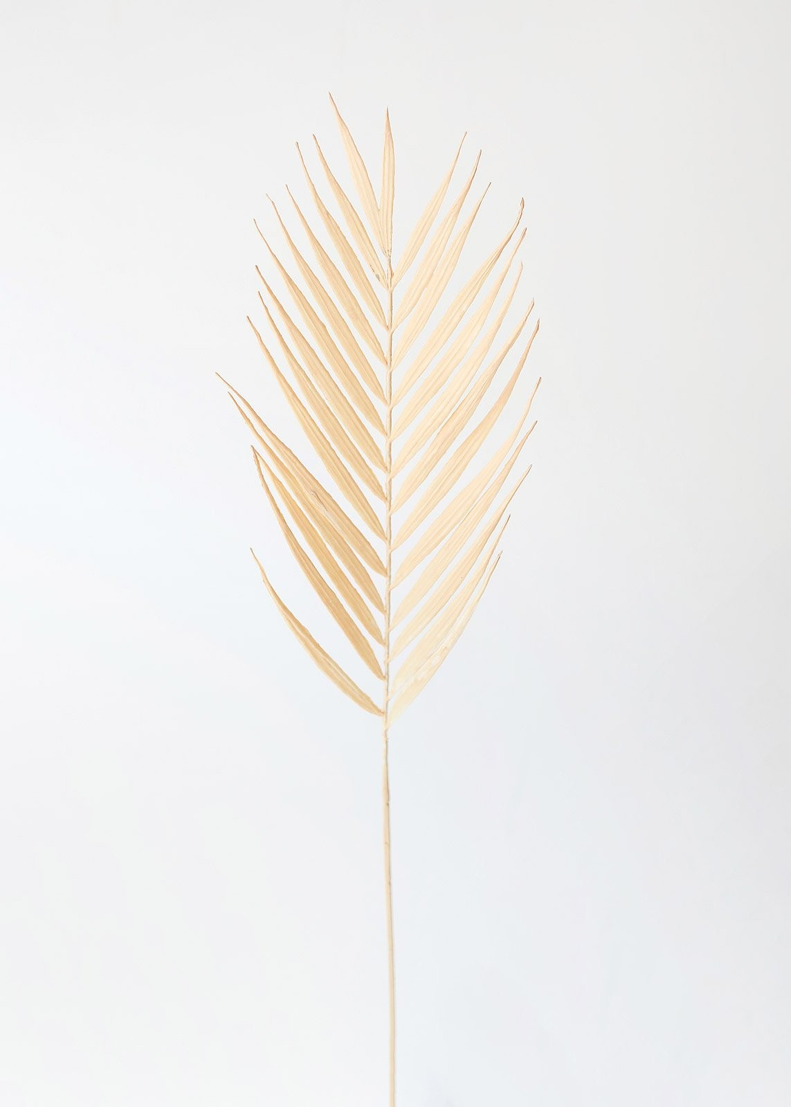Beige Fake Palm Leaf - 37" Tall | Afloral (US)