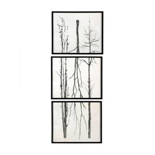 Storied Home "Branch Artwork" Wood Framed Nature Wall Art Print (Set of 3) 19.6 in. x 2... | The Home Depot