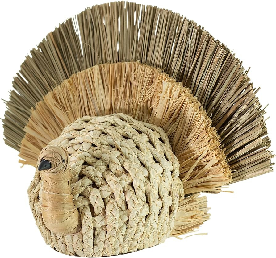 Boston International Turkey Tabletop Figurine Fall Thanksgiving Decorations, 14" x 9.5", Woven St... | Amazon (US)