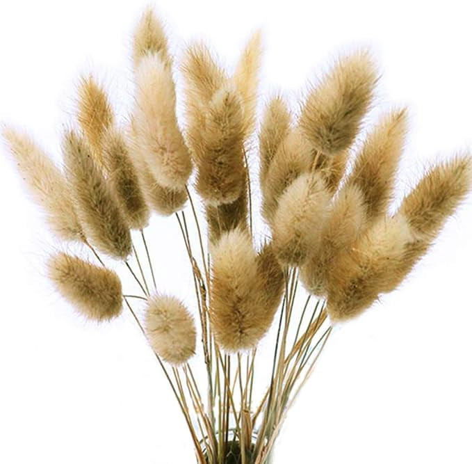 Color Life 110-120 Pcs Dried Natural Flowers Decoration, Dried Rabbit Tail Grass Flowers,Dried Pa... | Amazon (US)