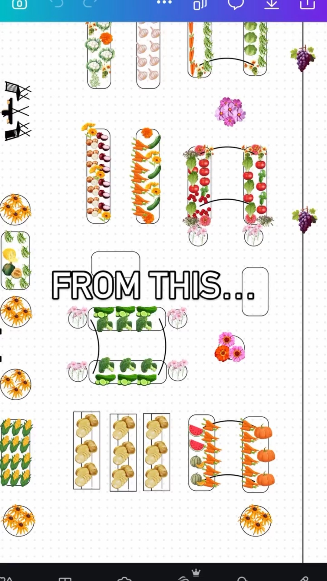 A spring garden is built in winter!

Do yourself a favor and spend the next month planning your garden space. I always start with a rough draft of what my tried and true crops are - then add some new fun varieties. And don’t skip the flowers! It’s super easy to hit add all to your cart when it comes to seeds but trust me when I say it will be worth taking the extra time to plan and map out your space before purchasing seeds. 

January is the perfect time to start planning for your 2026 garden in zone 4. 

Happy planting! 

#zone4 #zone4garden #midwestgarden #raisedbedgarden #seedstarting