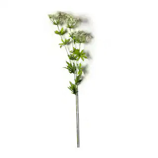White Queen Anne's Lace Spray by Ashland® | Michaels | Michaels Stores